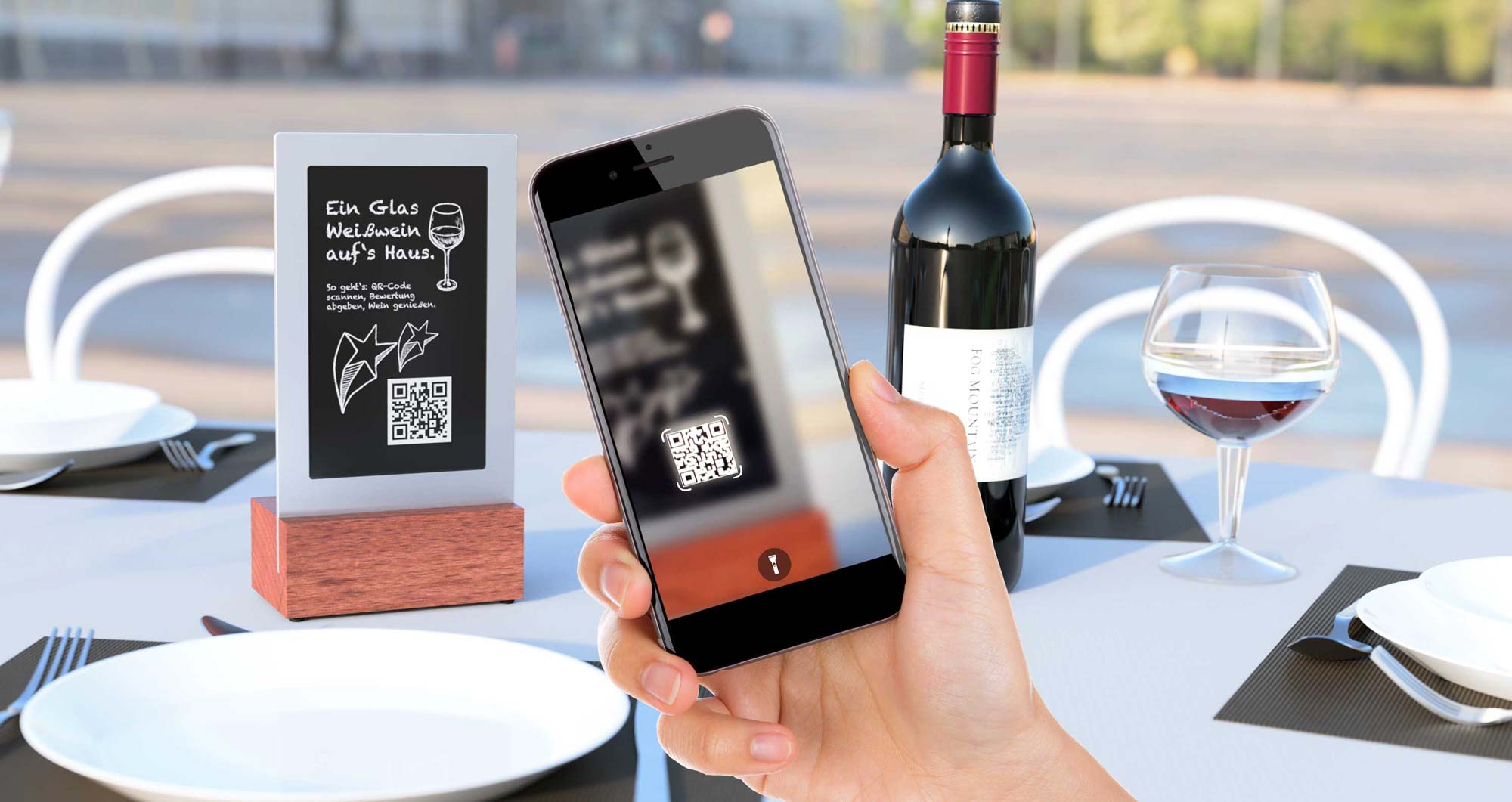 Dinio product design